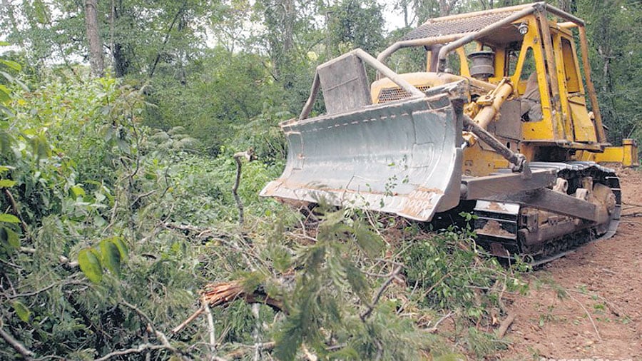 Para el ministerio, la recategorización de las fincas es incompatible con la Ley de Bosques.