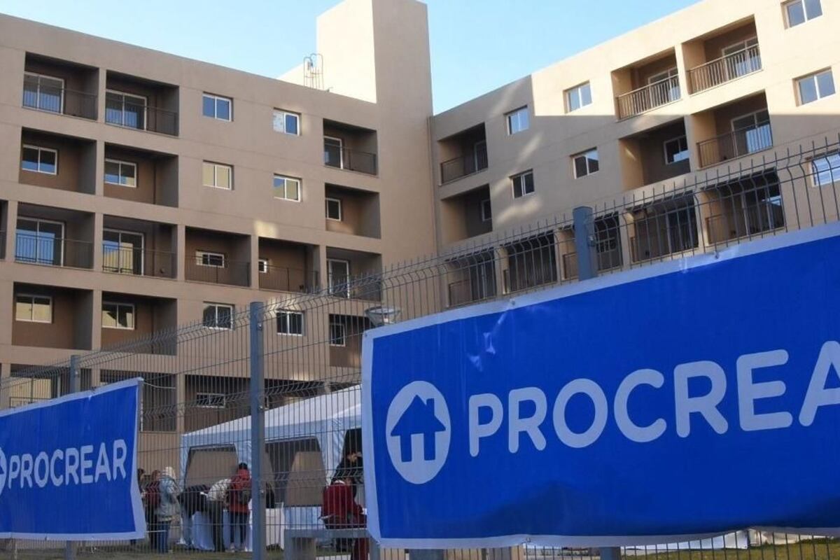 Para la línea construcción habrá 30 mil cupos