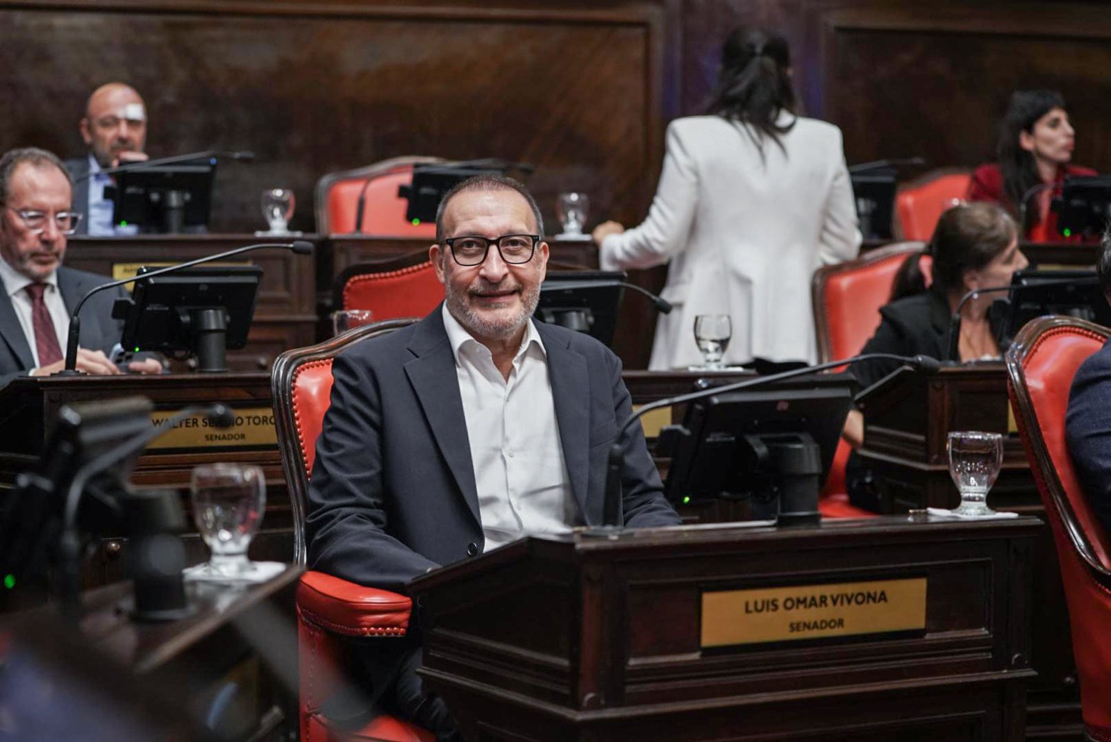 Luis Omar Vivona, autor del proyecto que ingresó al Senado. 