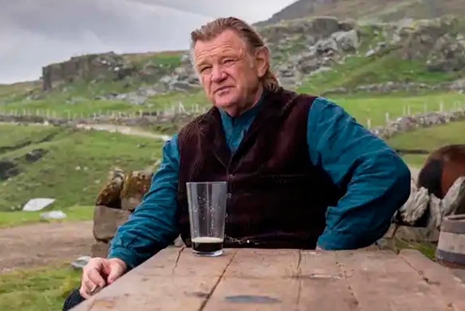 Brendan Gleeson interpela desde la parquedad de su gesto adusto.