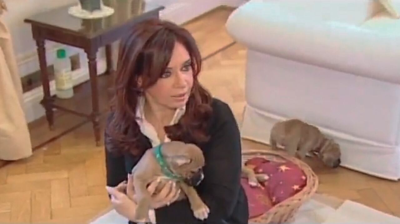 El video se difundió como una muestra más del afecto que se manifestó en las redes sociales bajo el hashtag #FuerzaCristina.