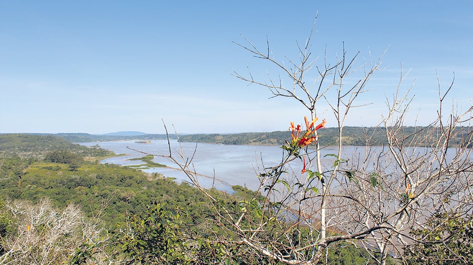 Toda la anchura del Paraná, desde los miradores del parque.