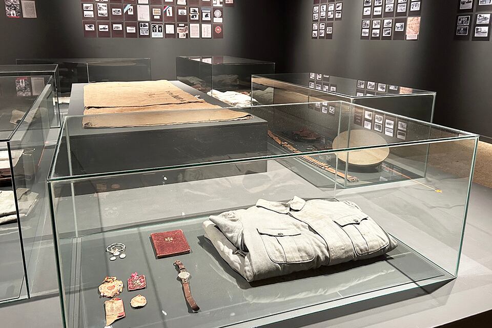 La donación De Sanctis, tras la muerte del médico, cumple tardíamente su voluntad de exhibir su material al público.