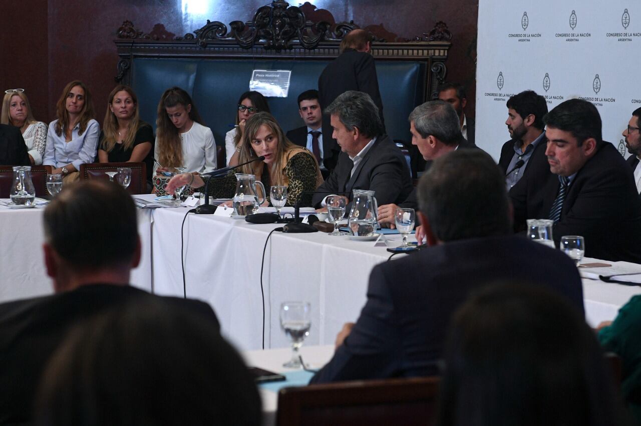 La discusión en el plenario de comisiones de Legislación General y Presupuesto.