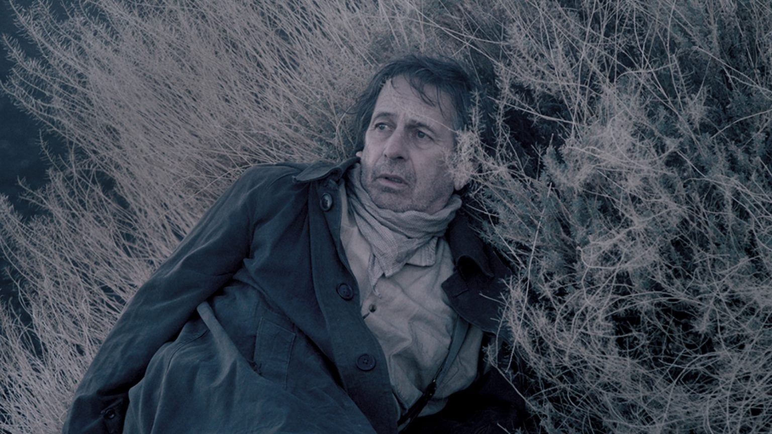 Alfredo Castro es el fotógrafo protagonista de "Blanco en blanco". 