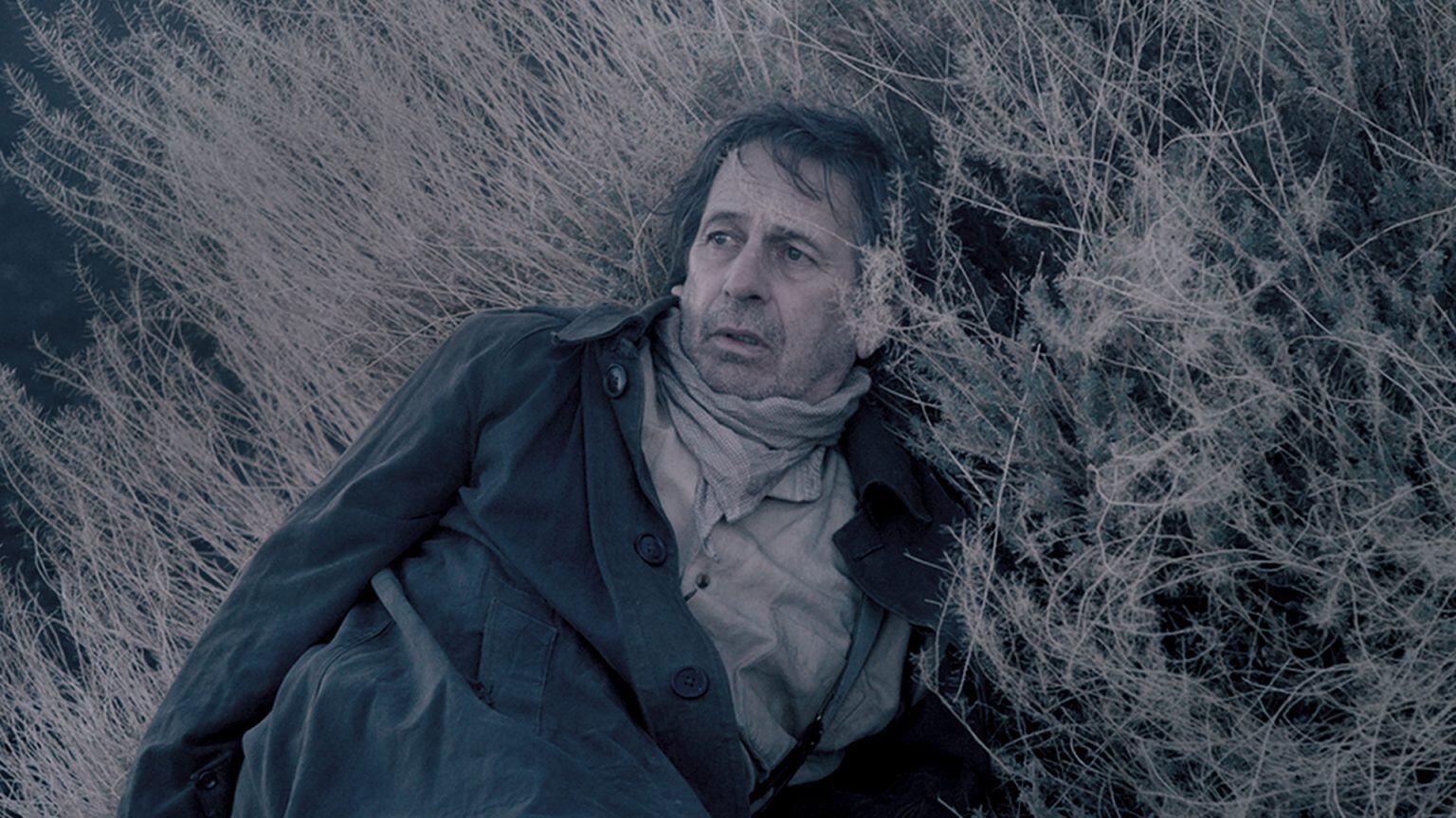 Alfredo Castro es el fotógrafo protagonista de "Blanco en blanco".