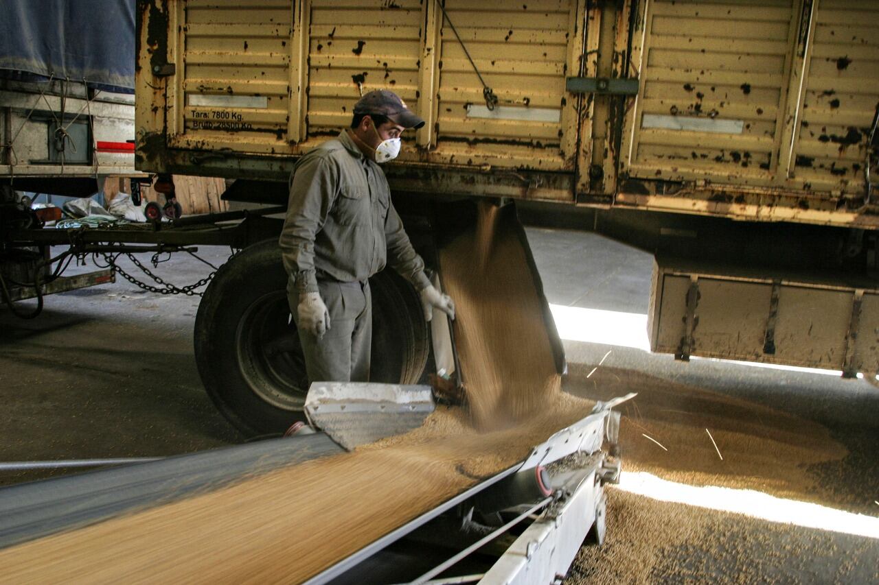 El conflicto Rusia-Ucrania eleva los precios internacionales de las materias primas agrícolas.