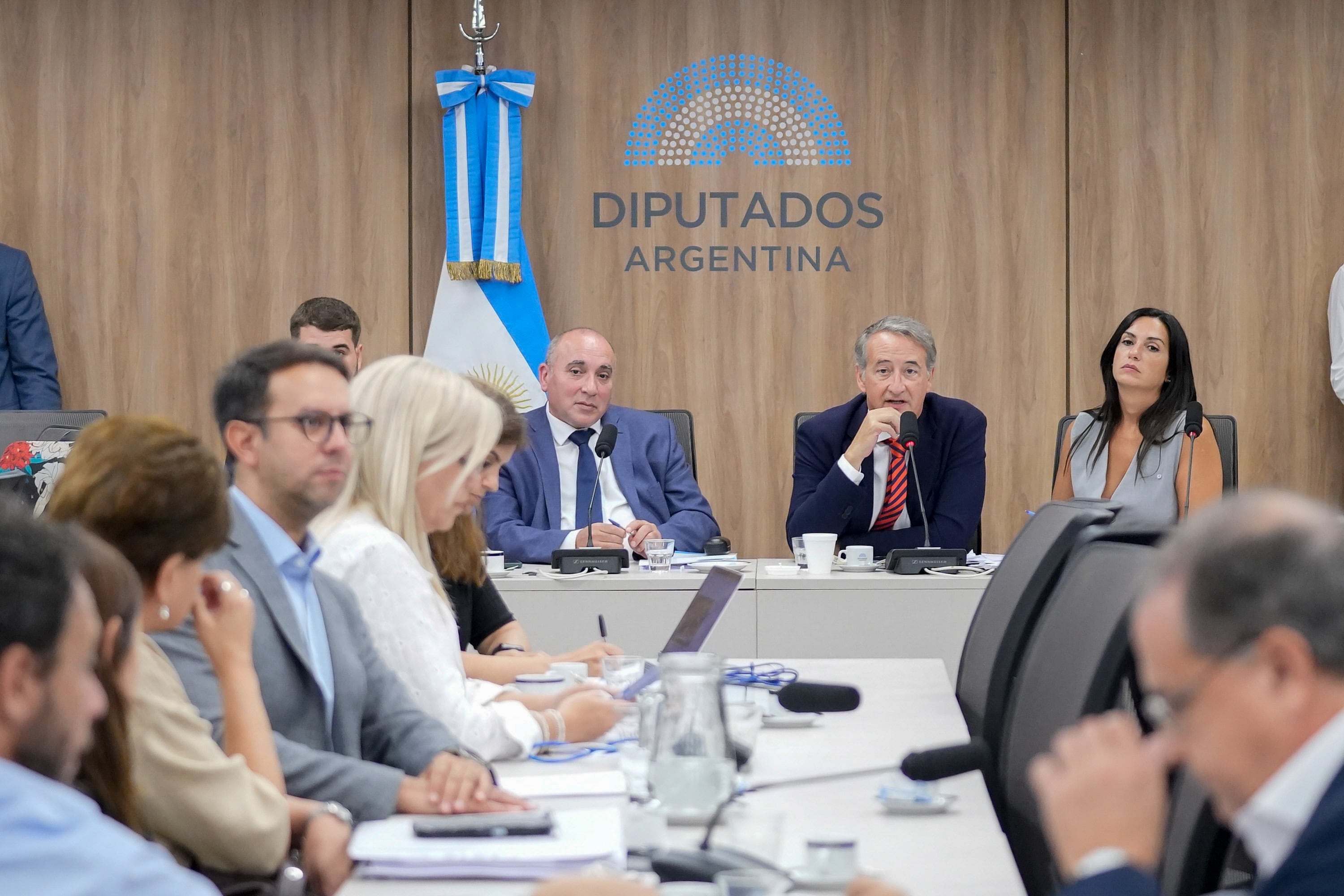 PLENARIO AVALÓ LA REALIZACIÓN DE AUDIENCIAS PÚBLICAS PARA DEBATIR EL PROYECTO DE MODIFICACIÓN A LA LEY DE GLACIARES