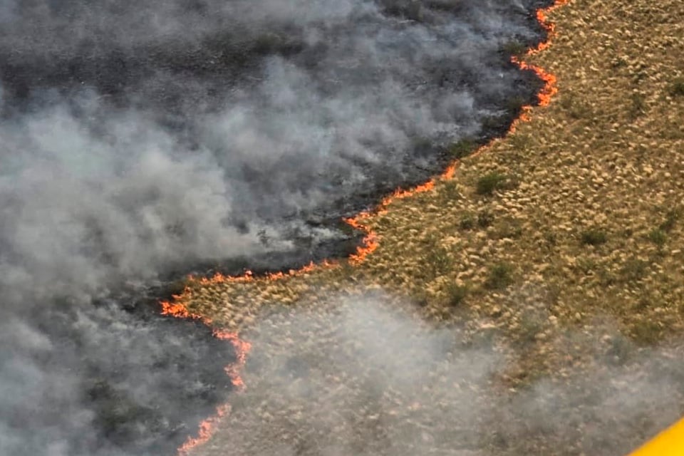 Arde La Pampa: los incendios forestales ya arrasaron con más de 83 mil hectáreas - Image 1