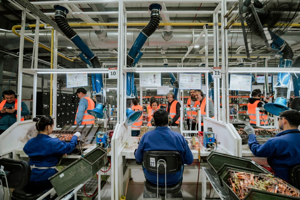 Newsan Tierra del Fuego