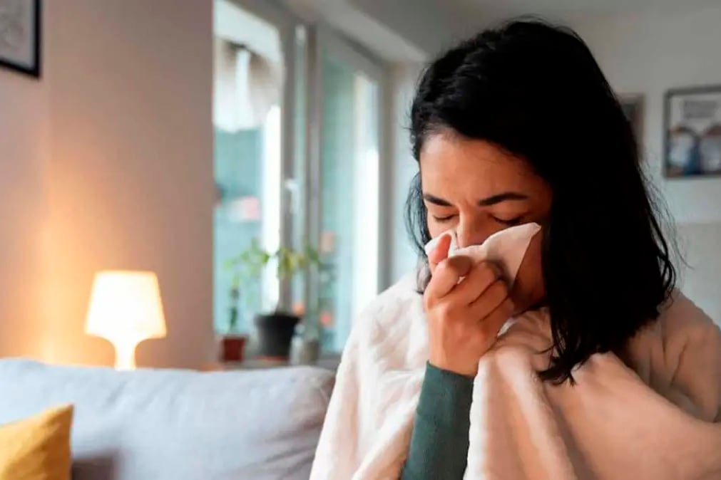 Gripe H3N2 en Europa