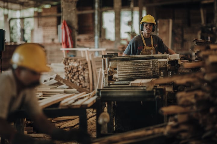 Misiones gana peso en la econom&iacute;a argentina y se posiciona entre las provincias m&aacute;s din&aacute;micas