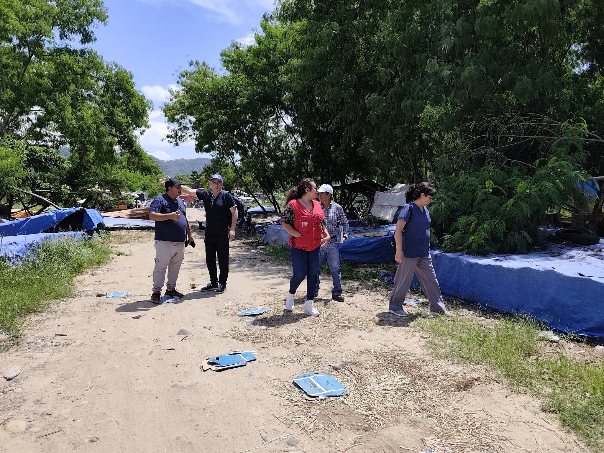 El objetivo es evitar la proliferación de mosquitos.