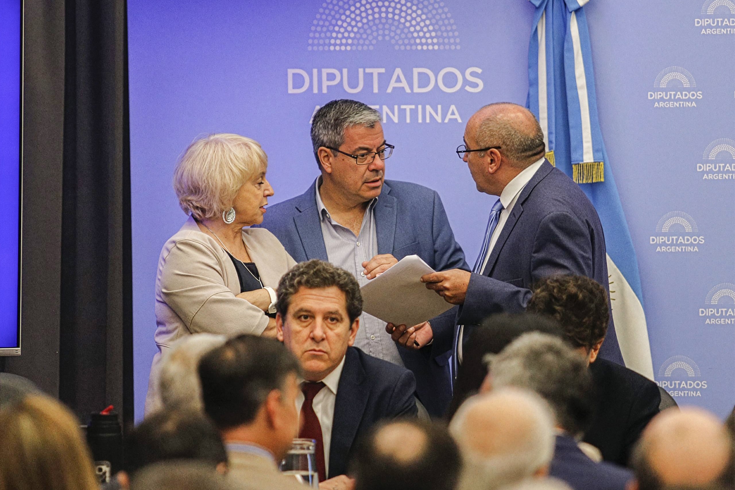 MARZO 25: La Cámara de Diputados abrió hoy a las 10 la primera audiencia sobre la reforma de la Ley de Glaciares aprobada por el Senado,