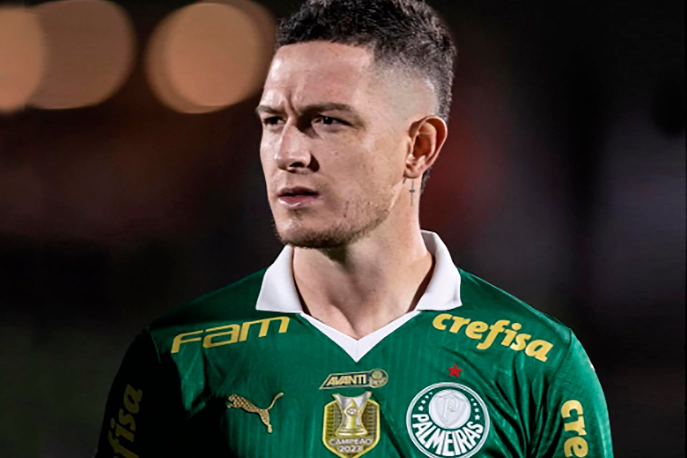 FOTO REDES SOCIALES 
   brasil  palmeiras    brasil  palmeiras  anibal moreno