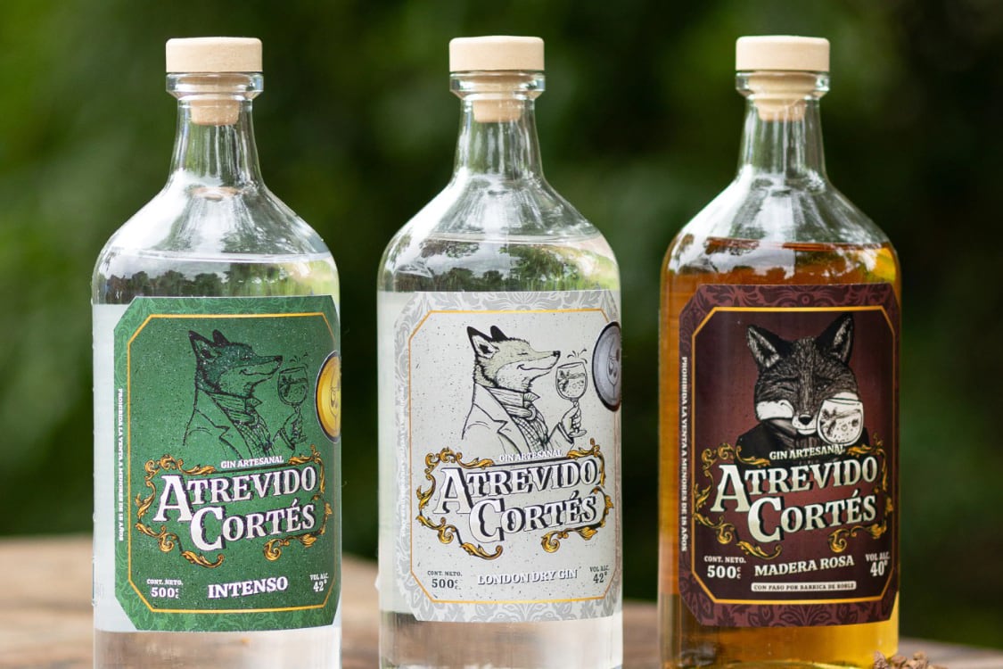 Gin Atevido Cortez