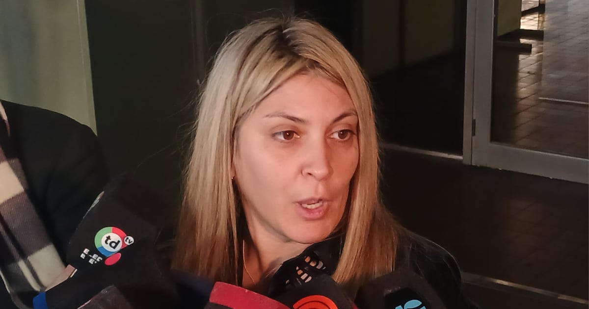 Caso Agostina: la abogada del padre sostuvo que Andreani “es una mujer que pertenece al ámbito criminal” – Página|12