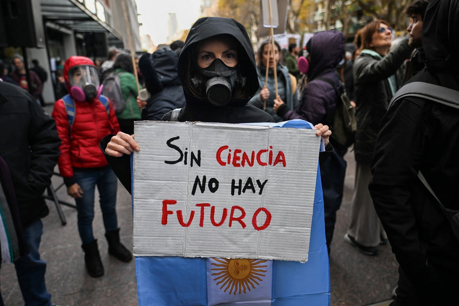 El Gobierno dio de baja las convocatorias a proyectos de investigación: "Suicidio científico” - Image 3