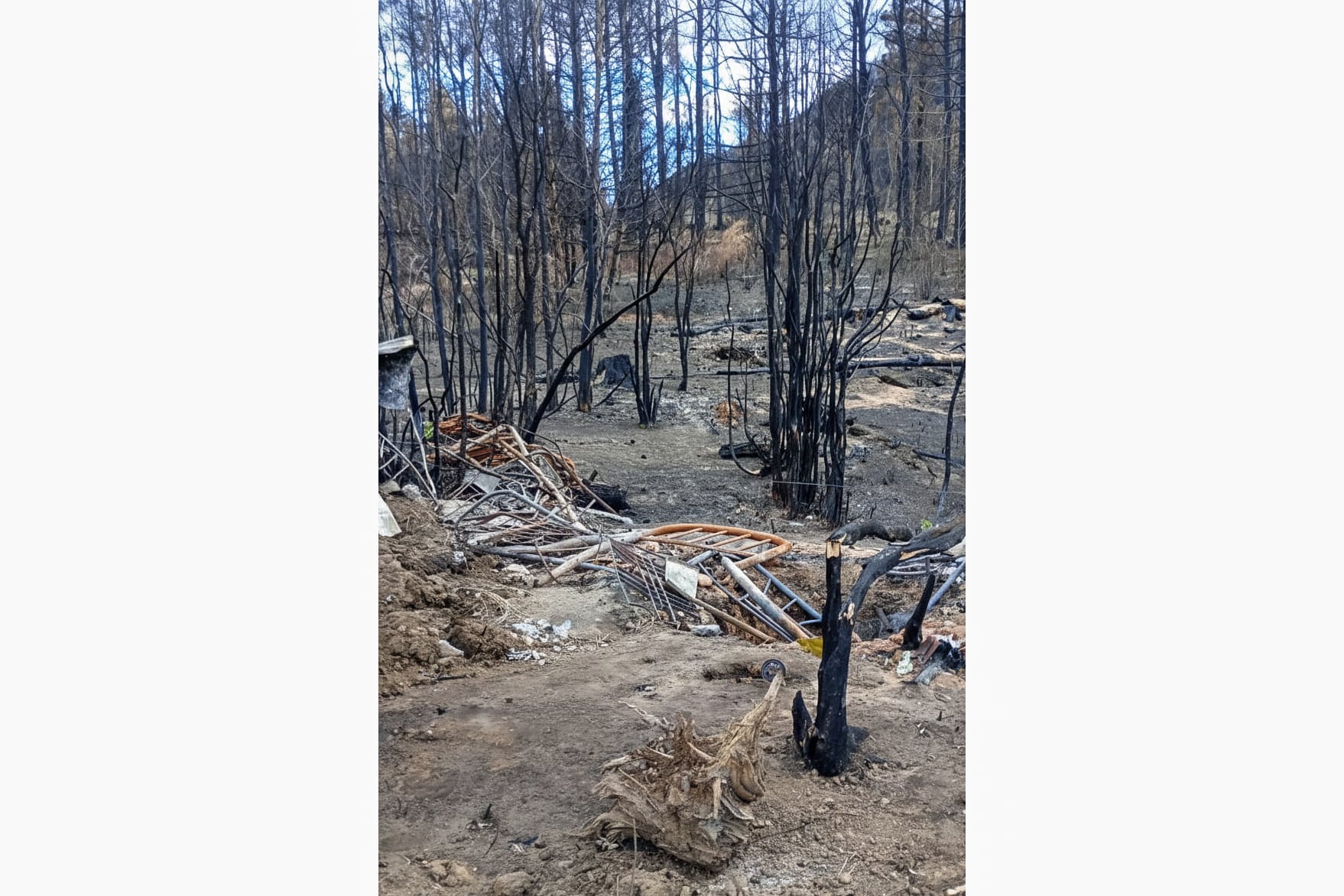 Incendio en Puerto Patriada