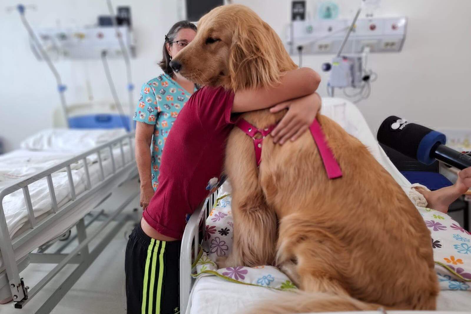 perro que asiste a la terapia de los chicos en el Hospital de Niños de La Plata