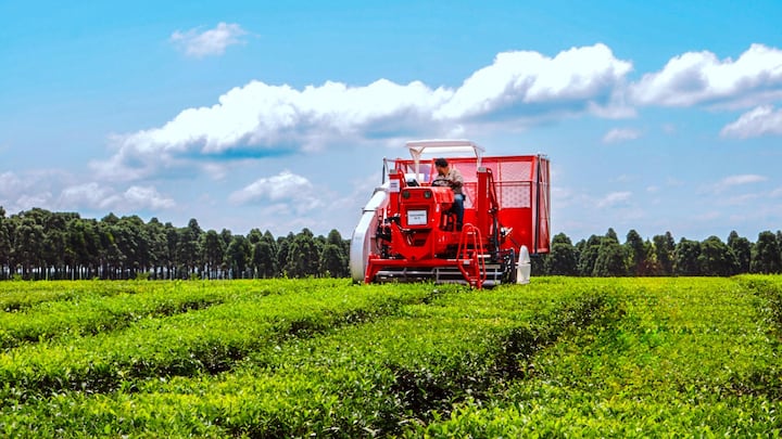 Misiones gana peso en la econom&iacute;a argentina y se posiciona entre las provincias m&aacute;s din&aacute;micas