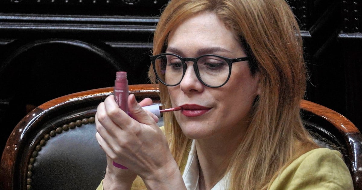 Lilia Lemoine floja de papeles: denuncian que omitió deudas y propiedades en su declaración jurada
