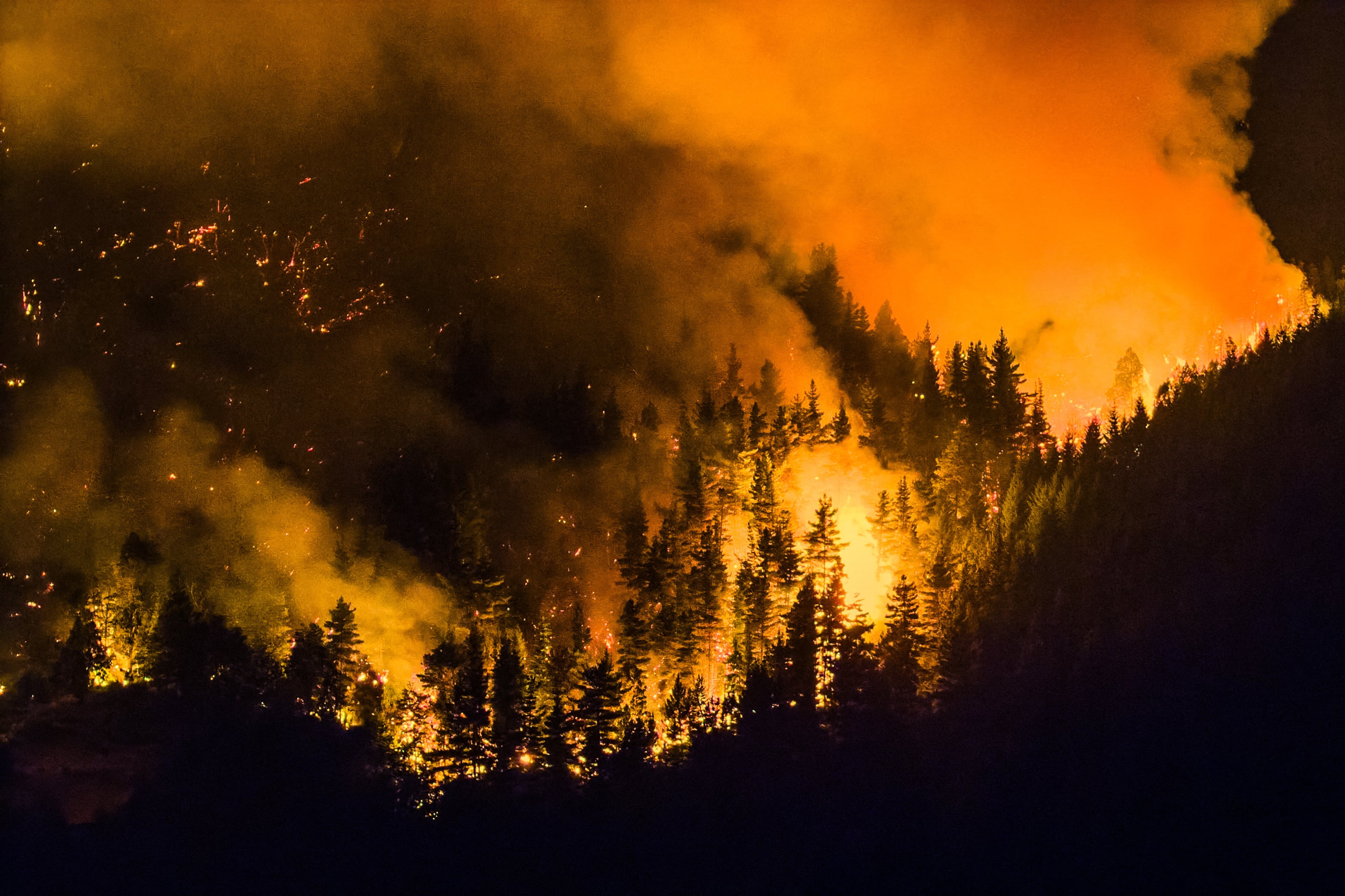 A forest fire is pictured engulfing Mount Pirque at El Hoyo, in the Patagonian region of Chubut province, Argentina on January 7, 2026. Thousands of hectares of forest were devastated by fire on January 6, in Argentine Patagonia, where a red alert is in effect due to extreme conditions, one year after the region experienced its worst wildfires in three decades. (Photo by Martin LEVICOY / AFP)