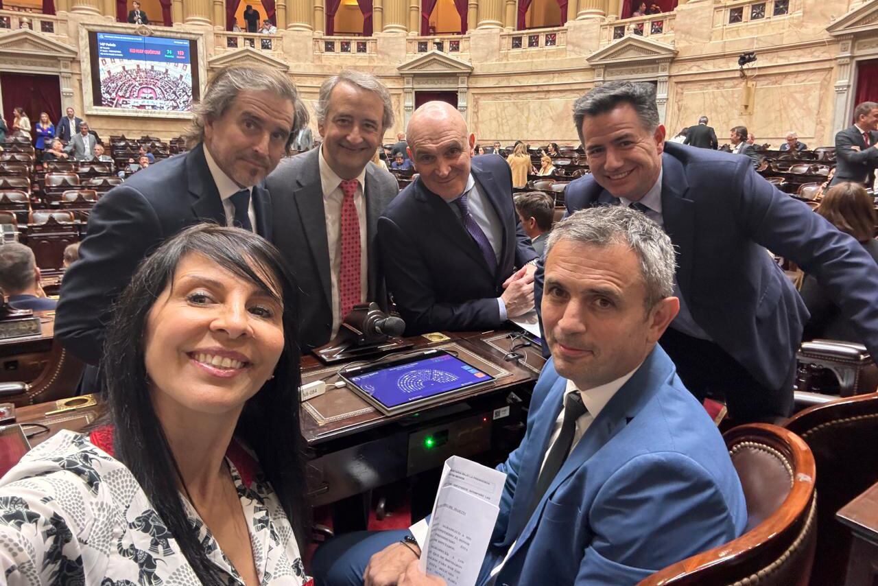 Villaverde, Benegas Linch, Menem Espert