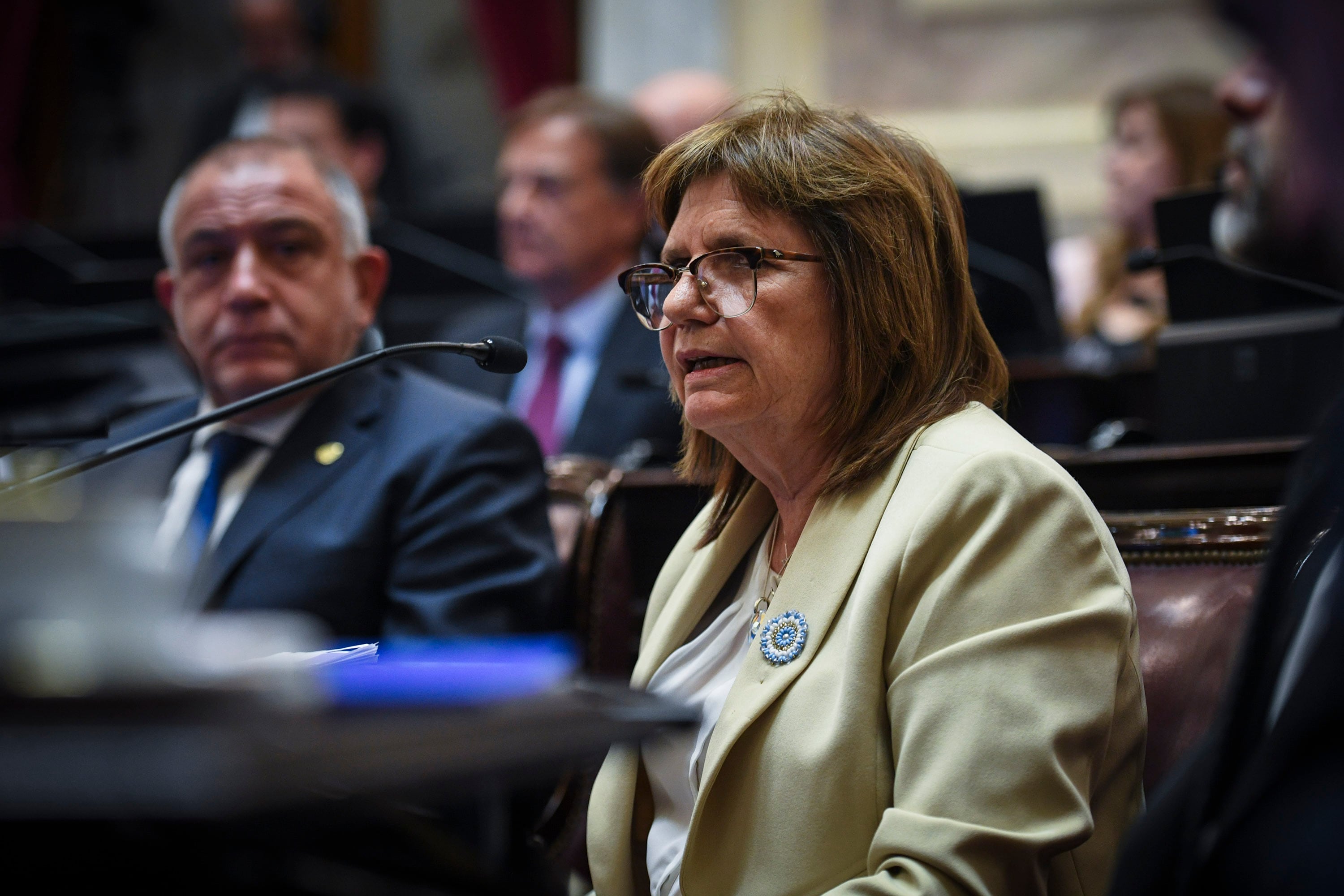 Patricia Bullrich, senadora