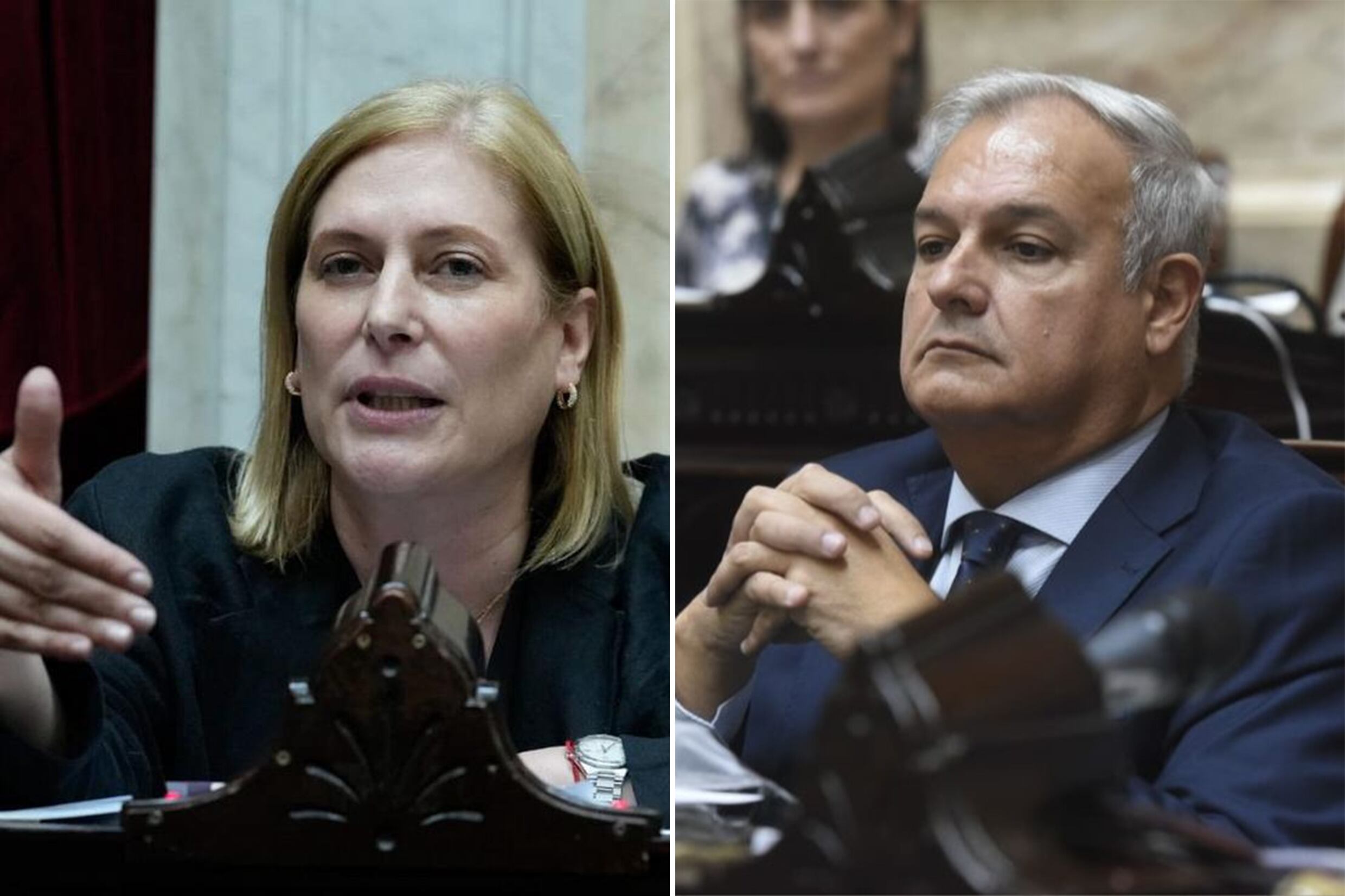 Gisela Scaglia y Pablo Farias diputados nacionales por Santa Fe bloque provincias unidas