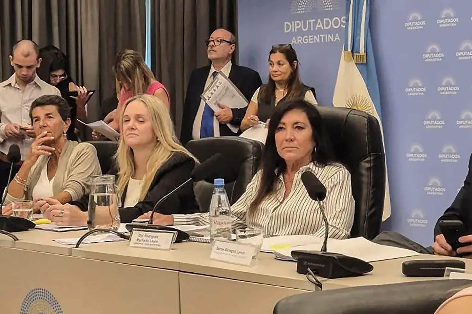 El oficialismo, junto con aliados, se alzó con el dictamen del Régimen Penal Juvenil