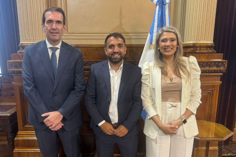 Pablo Cervi, Damian Torrez, Nadia Marquez, diputados LLA