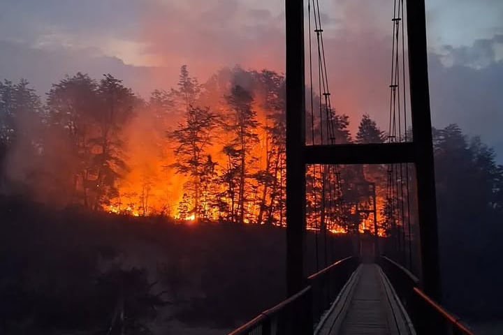 Incendio Parque Nacional Los Alerces