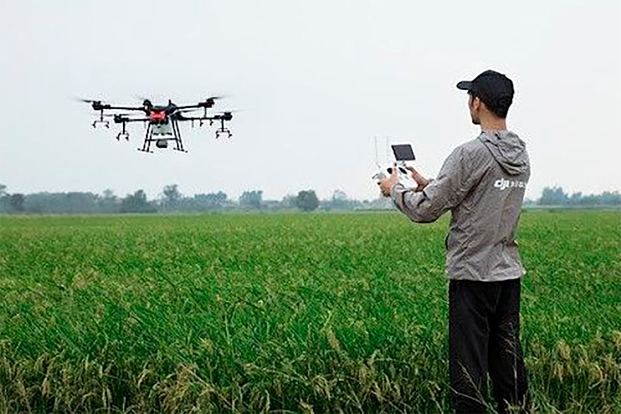 Campo Trabajadores Dron