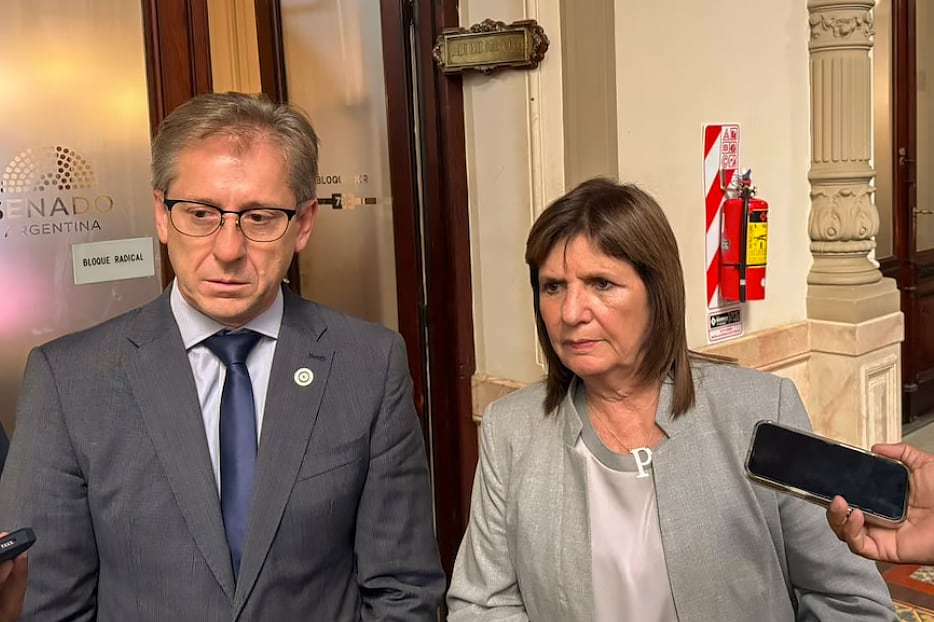 Eduardo Vischi, Patricia Bullrich