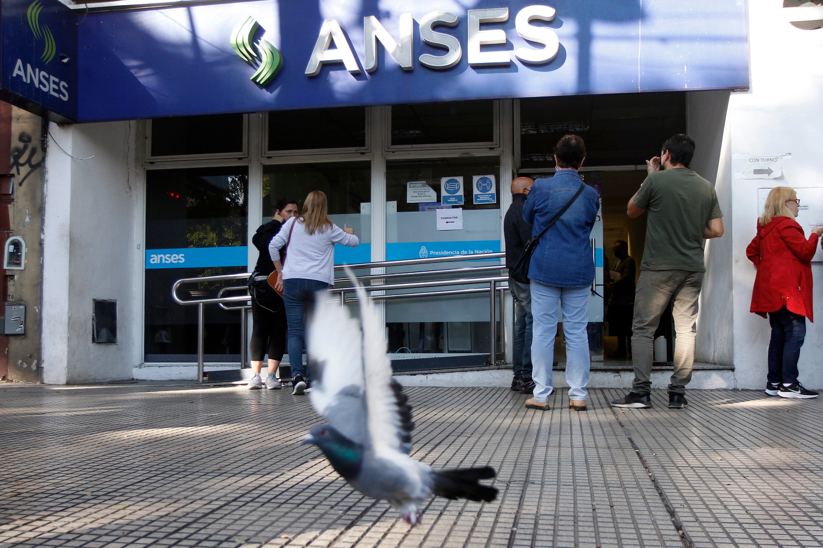 ANSES